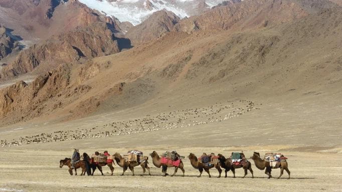 Mongolian family moving