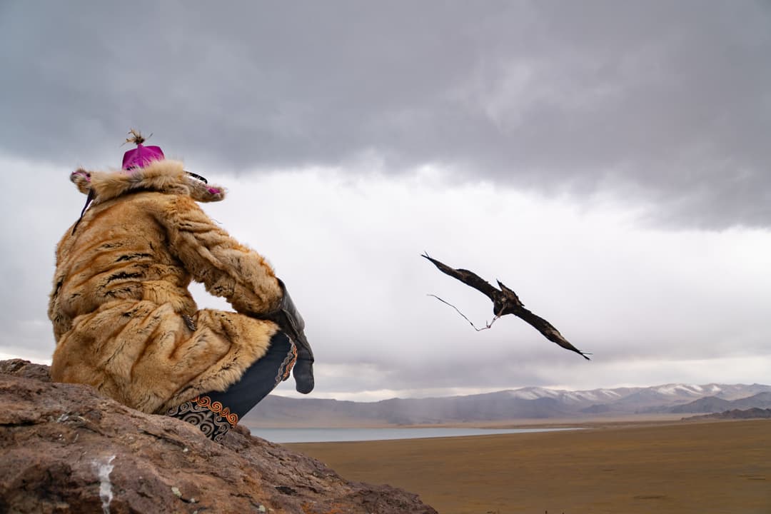 Eagle hunting, Mongolia