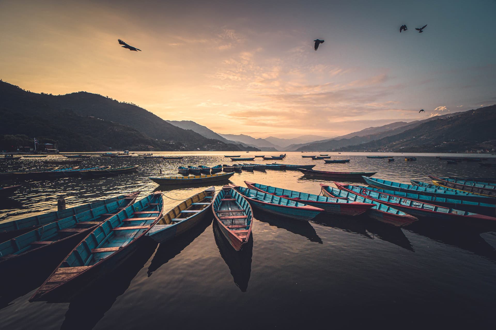 Colorful wooden rowboats float on calm Phewa Lake at sunset, with mountains in the distance and birds gliding over the water.
